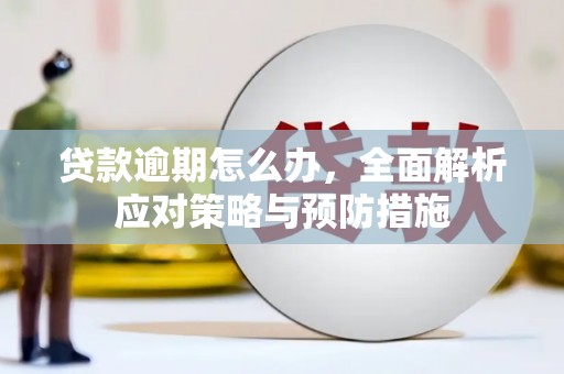 东丽贷款逾期怎么办，全面解析应对策略与预防措施