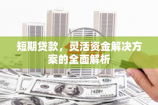 东丽短期贷款，灵活资金解决方案的全面解析