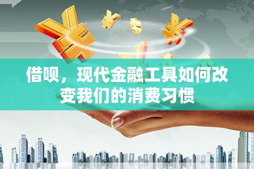 东丽借呗，现代金融工具如何改变我们的消费习惯