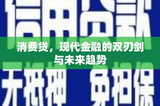 东丽消费贷，现代金融的双刃剑与未来趋势
