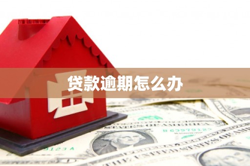 东丽贷款逾期怎么办