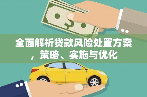 东丽全面解析贷款风险处置方案，策略、实施与优化
