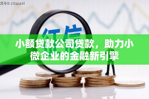 东丽小额贷款公司贷款，助力小微企业的金融新引擎