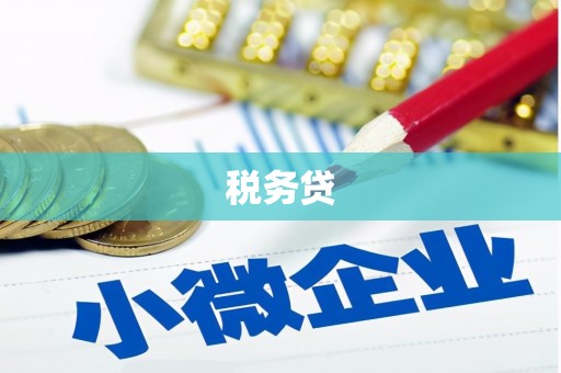 东丽税务贷