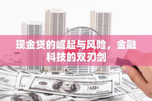 东丽现金贷的崛起与风险，金融科技的双刃剑