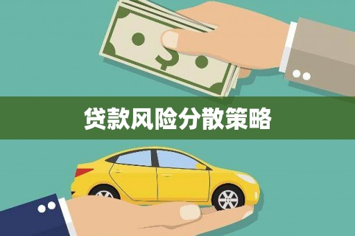 东丽贷款风险分散策略