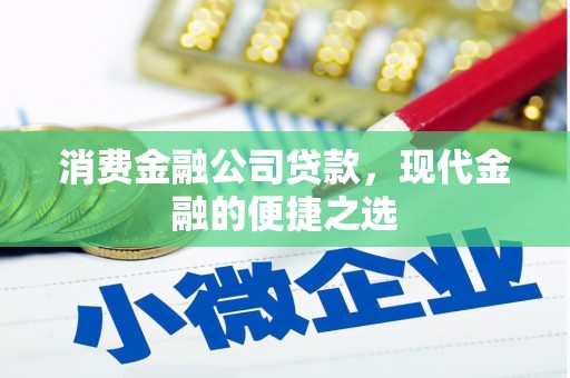 东丽消费金融公司贷款，现代金融的便捷之选