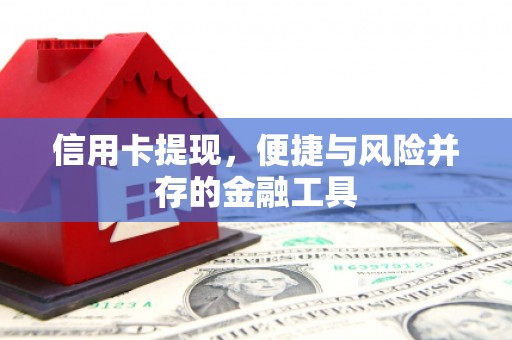 东丽信用卡提现，便捷与风险并存的金融工具