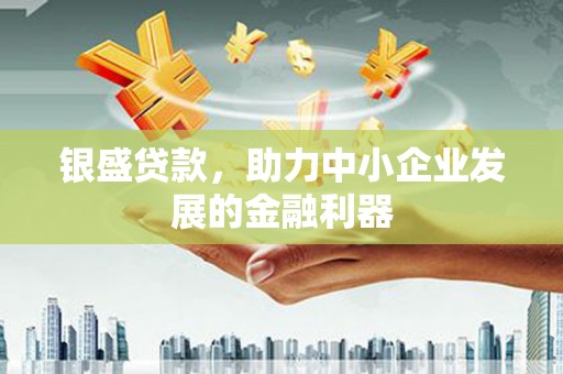 东丽银盛贷款，助力中小企业发展的金融利器