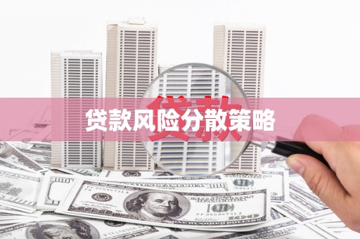 东丽贷款风险分散策略
