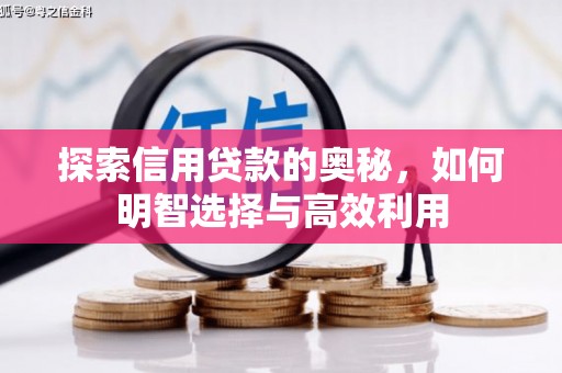 东丽探索信用贷款的奥秘，如何明智选择与高效利用