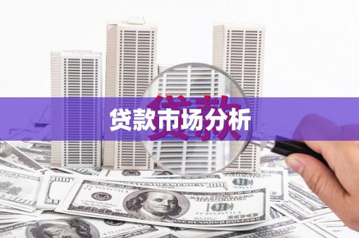 东丽贷款市场分析