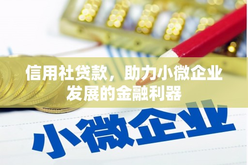 东丽信用社贷款，助力小微企业发展的金融利器