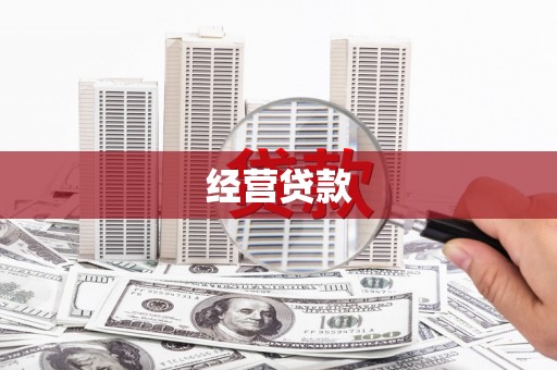东丽经营贷款