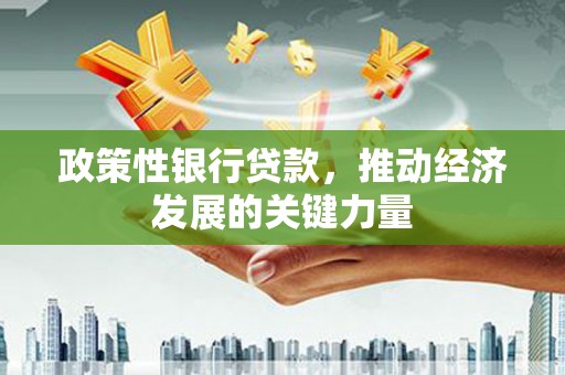 东丽政策性银行贷款，推动经济发展的关键力量