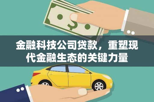 东丽金融科技公司贷款，重塑现代金融生态的关键力量