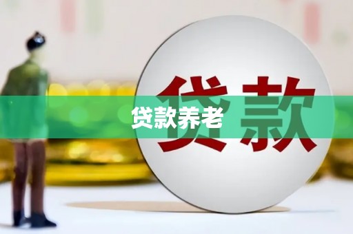 东丽贷款养老