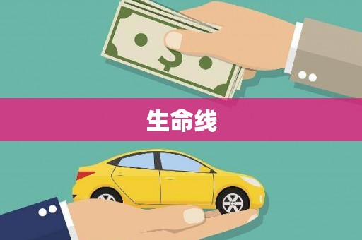 东丽生命线