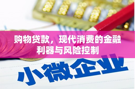 东丽购物贷款，现代消费的金融利器与风险控制
