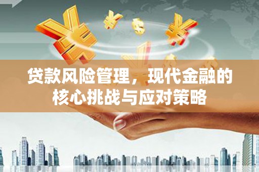 东丽贷款风险管理，现代金融的核心挑战与应对策略