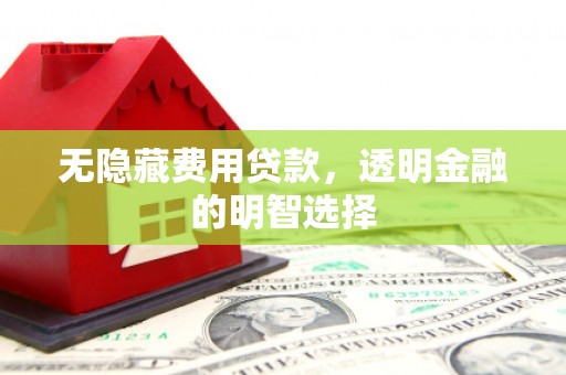 东丽无隐藏费用贷款，透明金融的明智选择