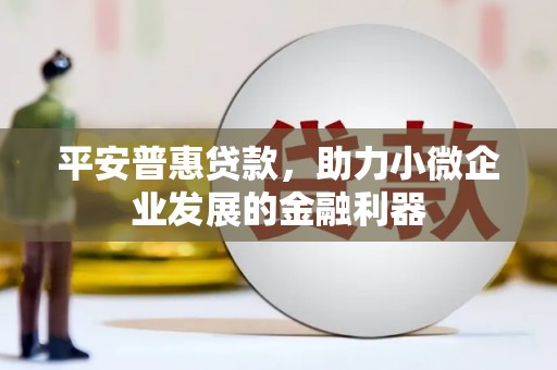 东丽平安普惠贷款，助力小微企业发展的金融利器