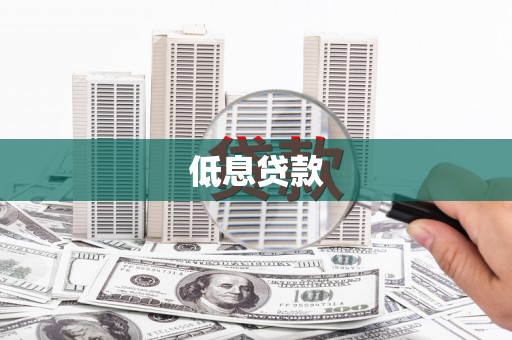 东丽低息贷款