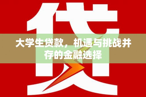 东丽大学生贷款，机遇与挑战并存的金融选择