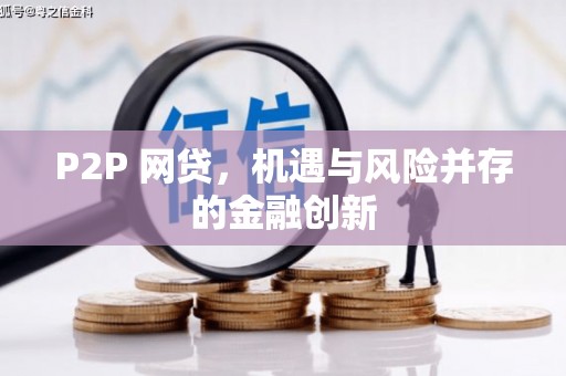 东丽P2P 网贷，机遇与风险并存的金融创新
