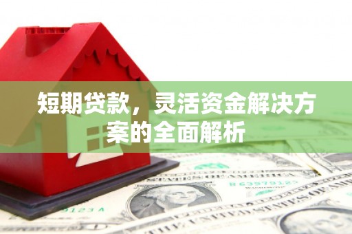 东丽短期贷款，灵活资金解决方案的全面解析