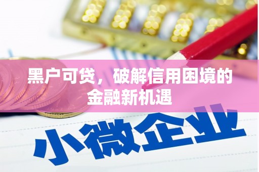 东丽黑户可贷，破解信用困境的金融新机遇