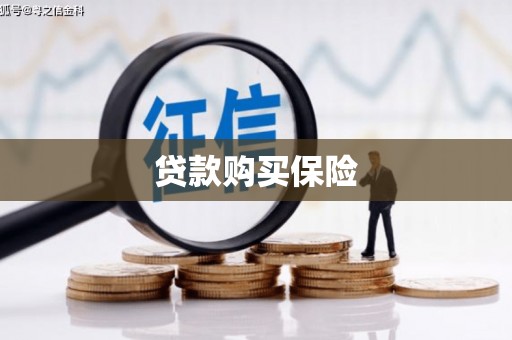 东丽贷款购买保险