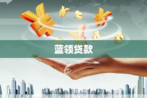 东丽蓝领贷款