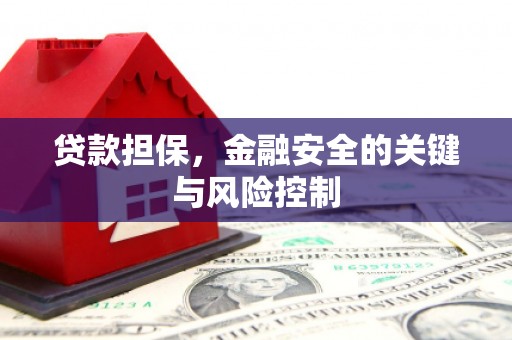 东丽贷款担保，金融安全的关键与风险控制