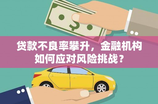 东丽贷款不良率攀升，金融机构如何应对风险挑战？