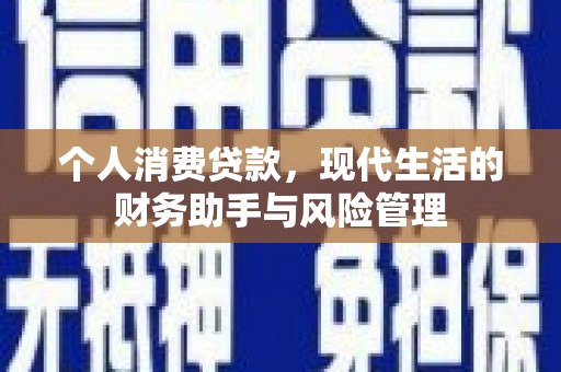 东丽个人消费贷款，现代生活的财务助手与风险管理
