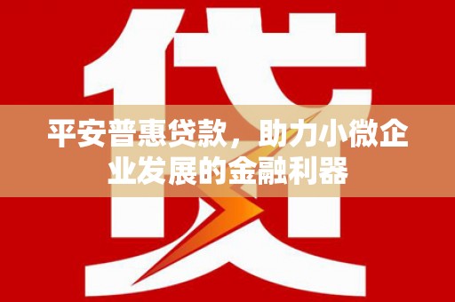 东丽平安普惠贷款，助力小微企业发展的金融利器