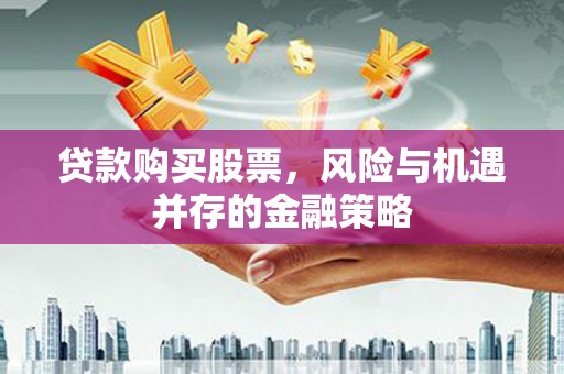 东丽贷款购买股票，风险与机遇并存的金融策略