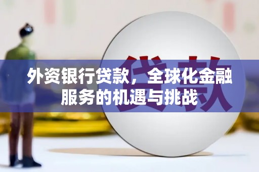 东丽外资银行贷款，全球化金融服务的机遇与挑战