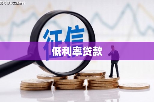 东丽低利率贷款