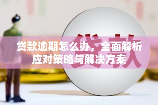 东丽贷款逾期怎么办，全面解析应对策略与解决方案