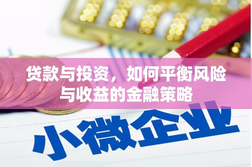 东丽贷款与投资，如何平衡风险与收益的金融策略