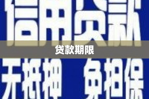 东丽贷款期限
