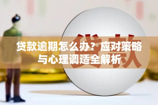 东丽贷款逾期怎么办？应对策略与心理调适全解析