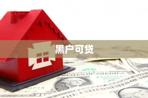 东丽黑户可贷