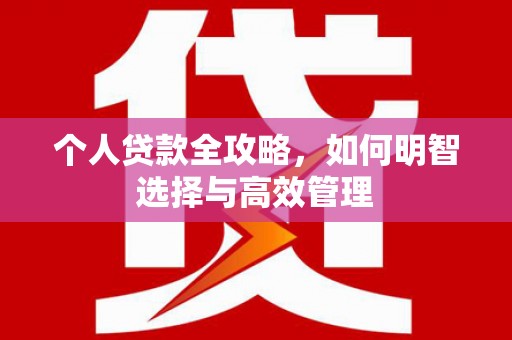 东丽个人贷款全攻略，如何明智选择与高效管理