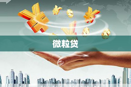 东丽微粒贷