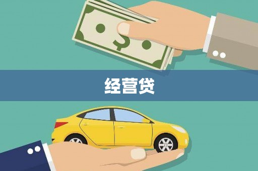 东丽经营贷