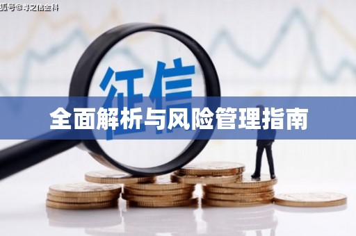 东丽全面解析与风险管理指南