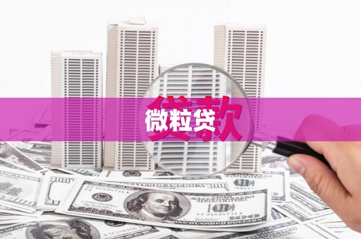 东丽微粒贷